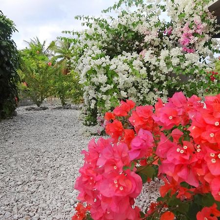 Pension Tiputa Lodge Rangiroa Экстерьер фото