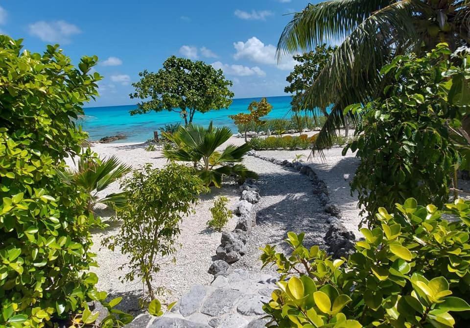 Pension Tiputa Lodge Rangiroa Экстерьер фото