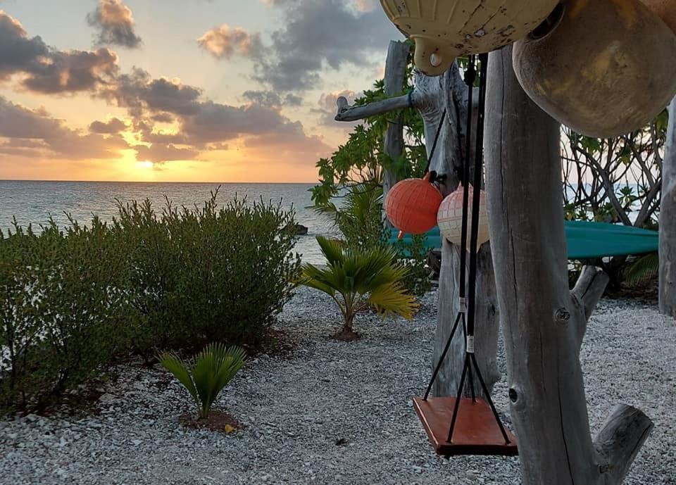Pension Tiputa Lodge Rangiroa Экстерьер фото