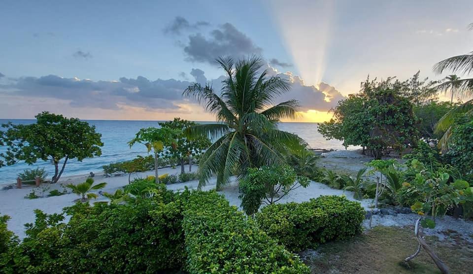 Pension Tiputa Lodge Rangiroa Экстерьер фото