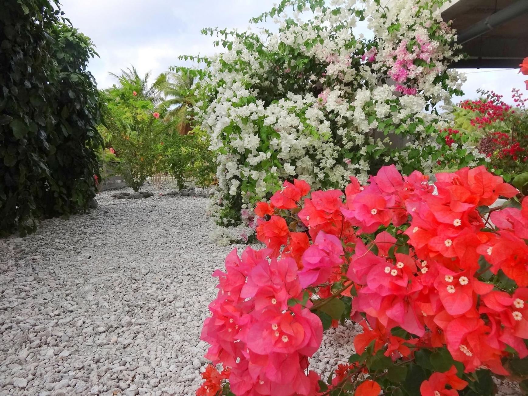 Pension Tiputa Lodge Rangiroa Экстерьер фото