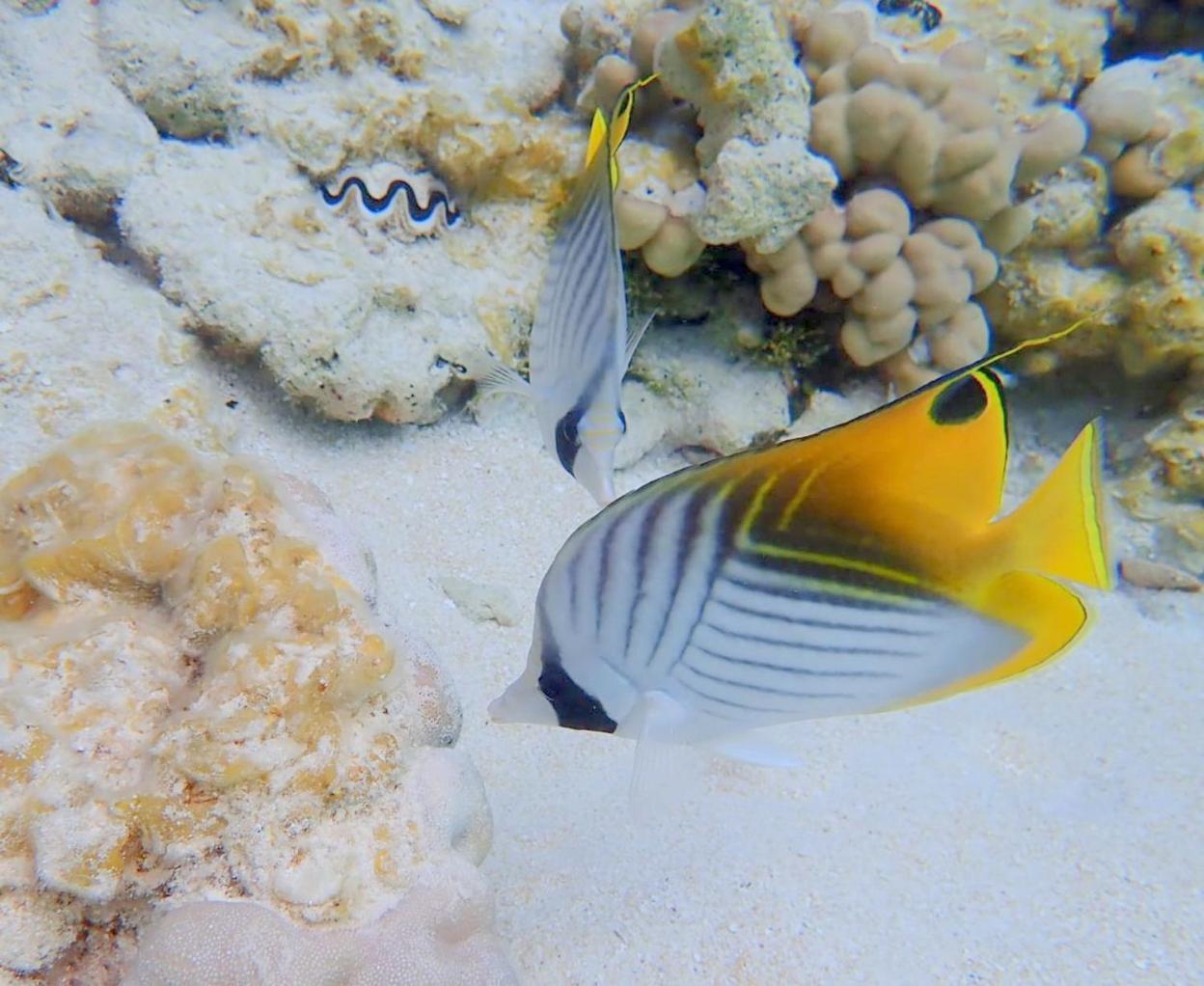 Pension Tiputa Lodge Rangiroa Экстерьер фото