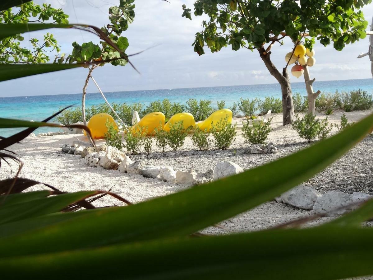 Pension Tiputa Lodge Rangiroa Экстерьер фото