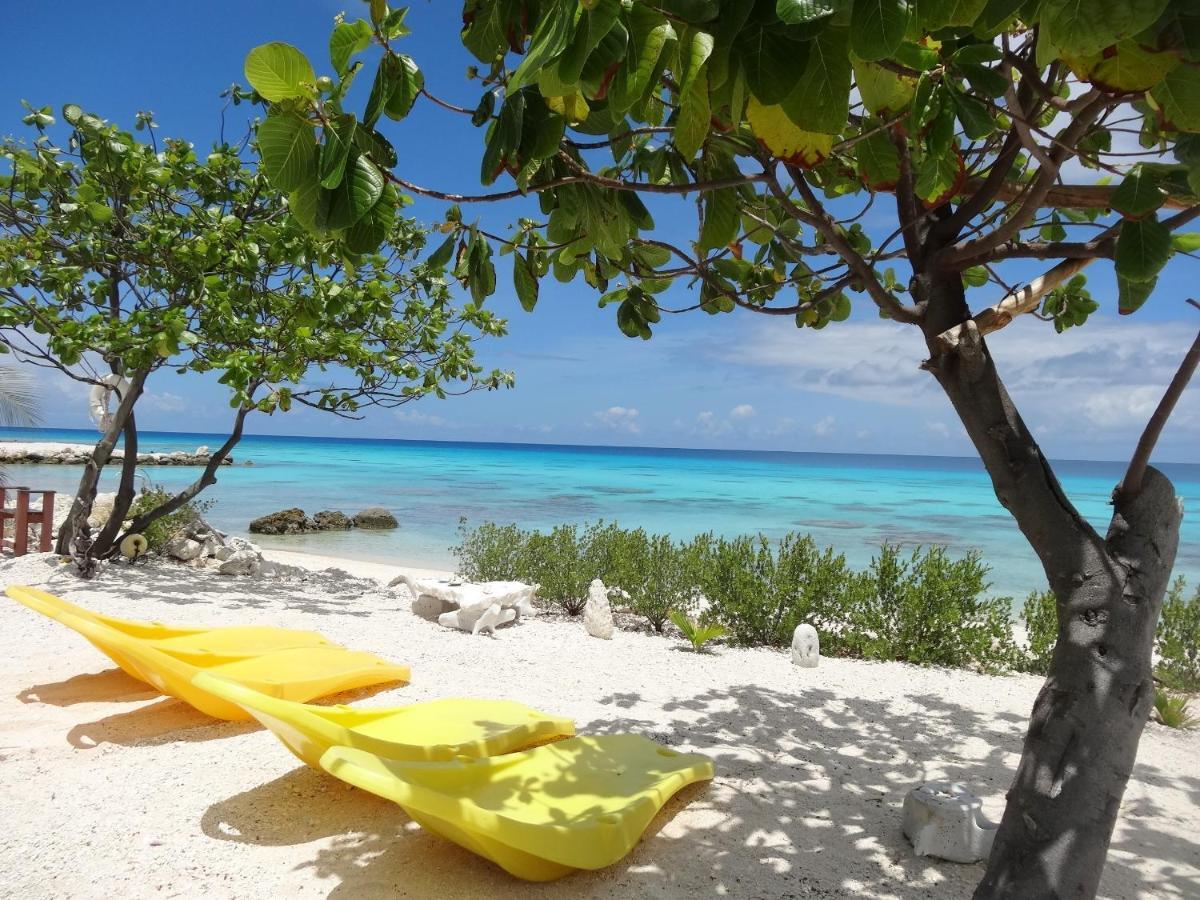 Pension Tiputa Lodge Rangiroa Экстерьер фото